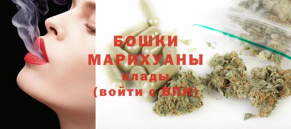 шишки Богородск
