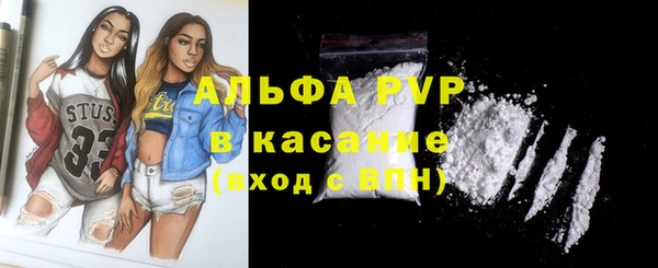 шишки Богородск