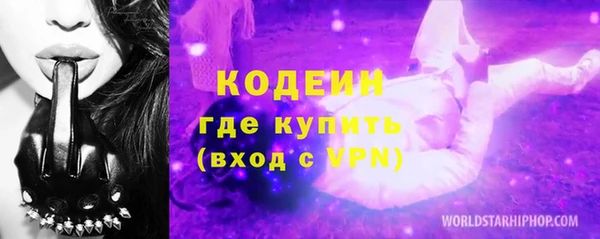 шишки Богородск