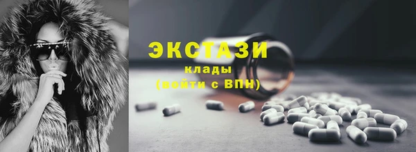 первитин Богданович