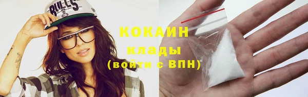 первитин Богданович